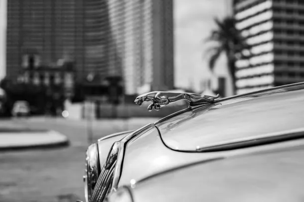 20Bets Casino Android/iOS aplikacija